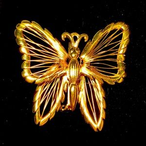 Butterfly pin/brooch